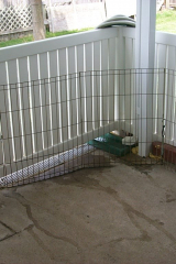 P0001250