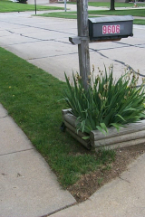 P0001269