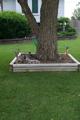 P0001270