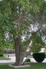 P0001276
