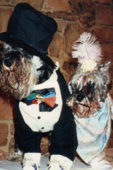 Pippin-Mele
