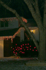 Xmas-Lights-2002_1